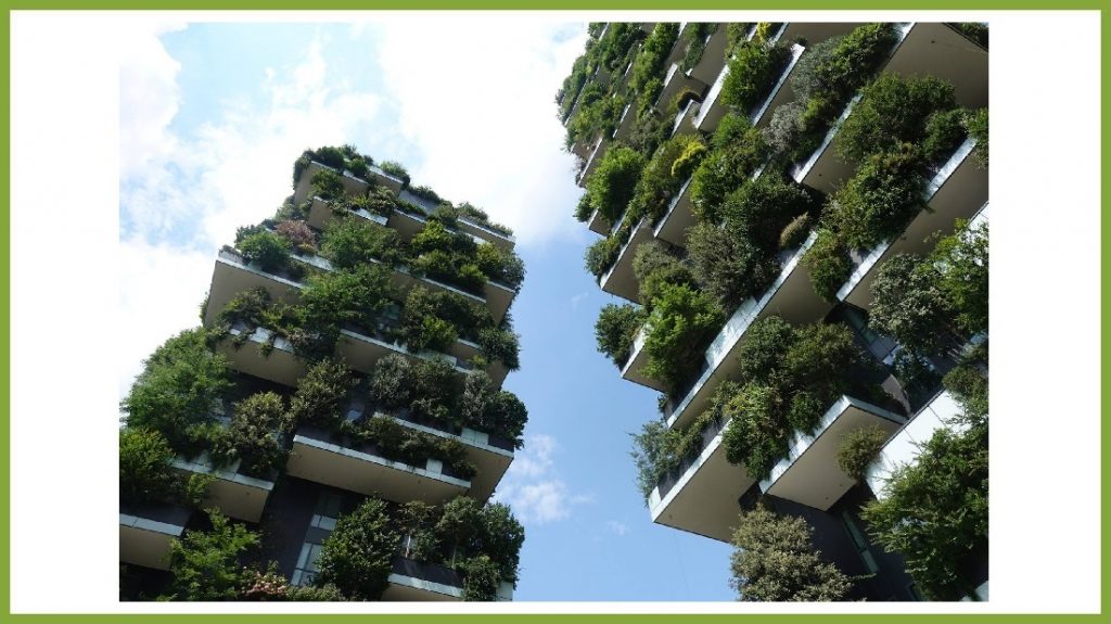 Grüne Oasen über der Stadt | Grünes Schwabencenter